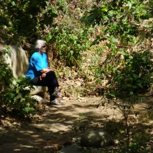 Seniors Free Day, visitor at Taylor Bench