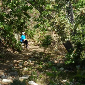 Seniors Free Day, visitor at Taylor Bench