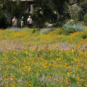 Seniors Free Day visitors at Meadow