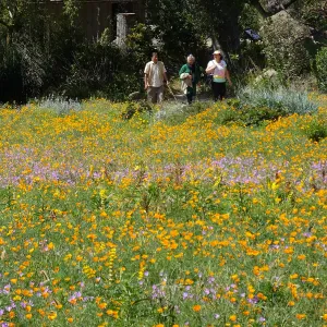 Seniors Free Day visitors at Meadow