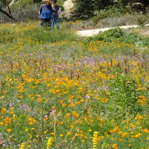 Seniors Free Day visitors at Meadow