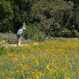 Seniors Free Day visitors at Meadow