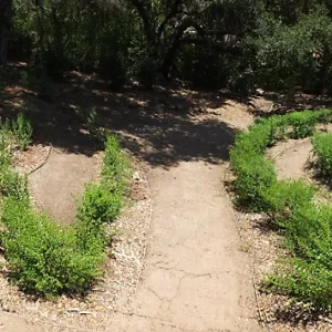 Centennial Maze