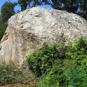 Blaksley Boulder, after removal of Douglas Fir