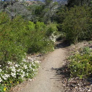Porter Trail