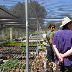 Rancho Santa Ana Botanic Garden