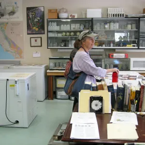 Rancho Santa Ana Botanic Garden