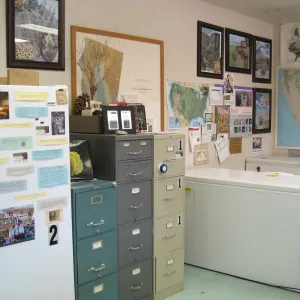 Rancho Santa Ana Botanic Garden