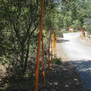 Rancho Santa Ana Botanic Garden