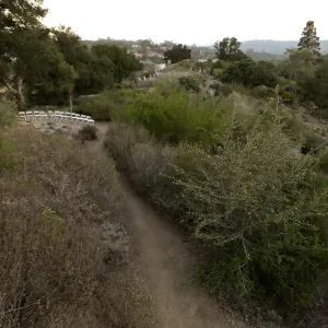 Member Appreciation Month, Blue Moon Hike