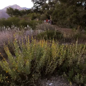 Member Appreciation Month, Blue Moon Hike