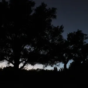 Member Appreciation Month, Blue Moon Hike