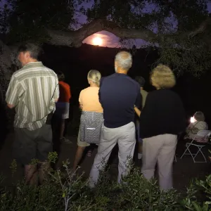 Member Appreciation Month, Blue Moon Hike