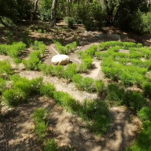 Centennial Maze