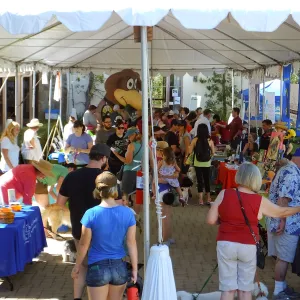 Trails n Tails 2015 Vendors in Courtyard