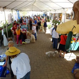 Trails n Tails 2015 Vendors in Courtyard