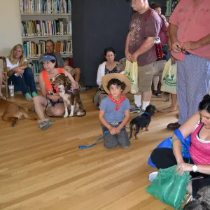 Trails n Tails 2015, dog obedience training demo
