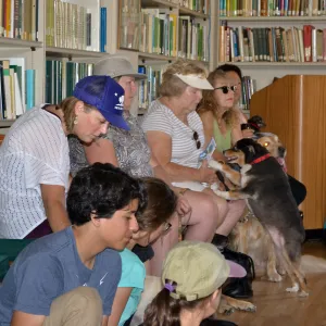 Trails n Tails 2015, dog obedience training demo