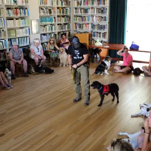 Trails n Tails 2015, dog obedience training demo