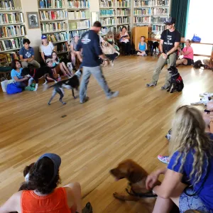 Trails n Tails 2015, dog obedience training demo