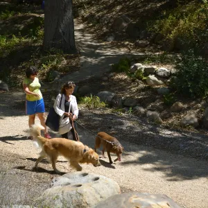 Trails n Tails 2015