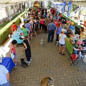 Trails n Tails 2015, vendor tables