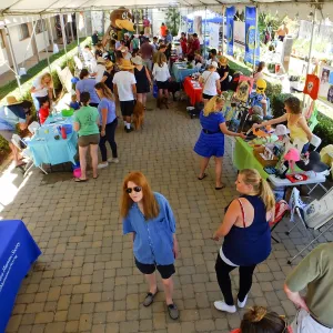 Trails n Tails 2015, vendor tables