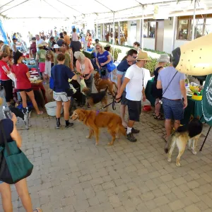 Trails n Tails 2015, vendor tables