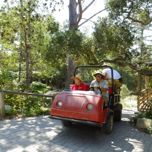 Gardeners on the move