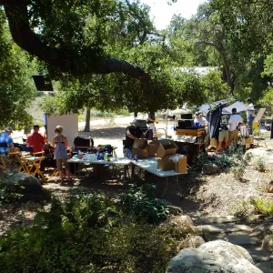 Sunsweet® Commercial Shoot