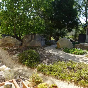 Home Demonstration Garden Renovation, view 4, north side of Cottage, first day of demolition work