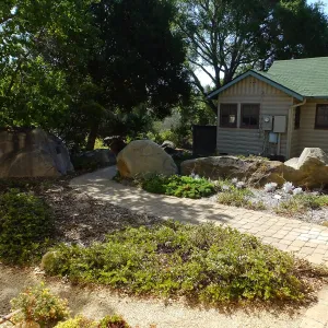 Home Demonstration Garden Renovation, view 3, north side of Cottage, first day of demolition work