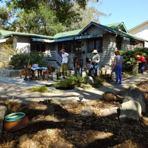 Home Demonstration Garden Renovation, view 13, looking towards southeast corner of Cottage, first day of demolition work