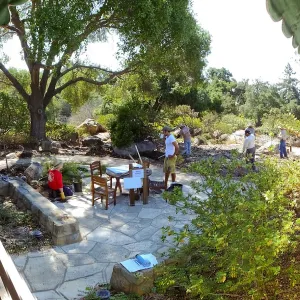 Home Demonstration Garden Renovation, view 17, panorama from south entrance of Cottage, first day of demolition work