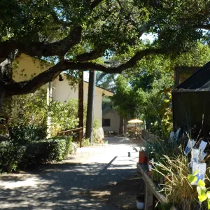 Home Demonstration Garden Renovation, view 32, looking south from Garden Growers Nursery, before demolition
