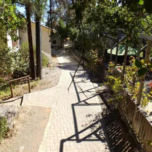 Home Demonstration Garden Renovation, view 33, looking south along path west of Herbarium, before demolition
