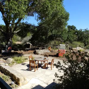 Home Demonstration Garden Renovation, view 20, looking southeast from south entrance of Cottage, demolition progress