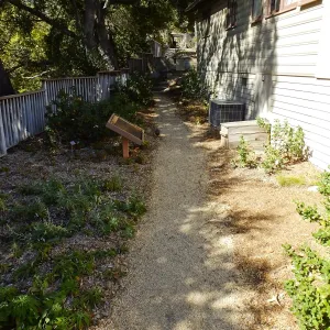 Home Demonstration Garden Renovation, view 30, looking north along path west of Cottage