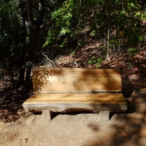 Refinished bench on Canyon Trail