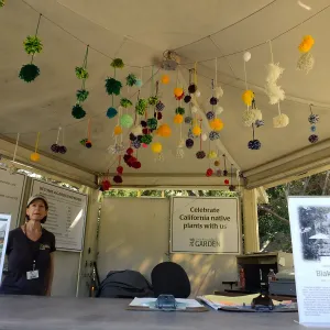 Dormant Dreams Yarn Blast, Entry Kiosk Pom-Poms