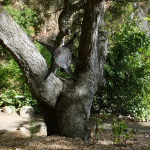 Dormant Dreams Yarn Blast, Canyon Spider Web