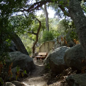 Anna's Bench, Pritchett Trail, shortly after installation