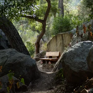 Anna's Bench, Pritchett Trail, shortly after installation