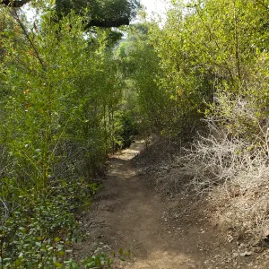 Pritchett Trail