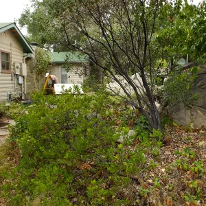 Home Demonstration Garden Renovation, view 8, north of Cottage, looking west