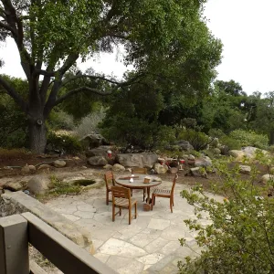 Home Demonstration Garden Renovation, looking southeast from south entrance of Cottage