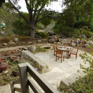 Home Demonstration Garden Renovation, view 19, looking southeast from south entrance of Cottage
