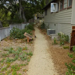 Home Demonstration Garden Renovation, view 30, looking north along path west of Cottage