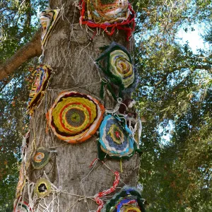 Dormant Dreams Yarn Blast, Coast Oak Circles