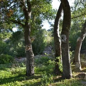 Dormant Dreams Yarn Blast, Coast Oak Circles